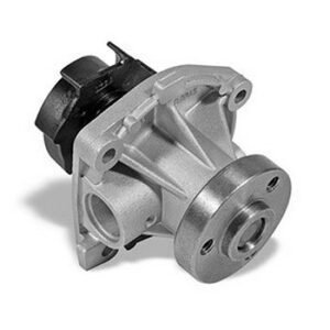 Bomba dagua Motor C/polia
