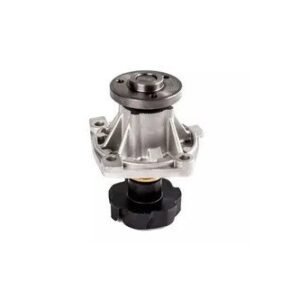 Bomba D'agua Motor S/polia