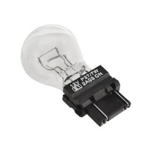 Lampada Pingao Base Plastica Grande 2 Polo Cristal