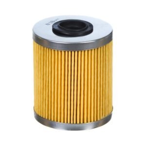 Filtro Combustivel