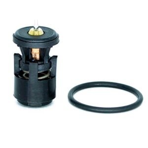 VALVULA TERMOSTATICA MOTOR