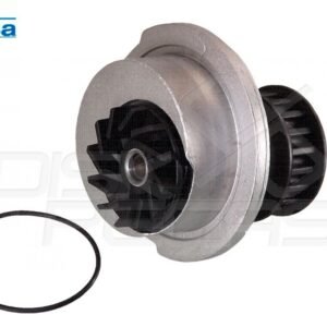 BOMBA DAGUA MOTOR