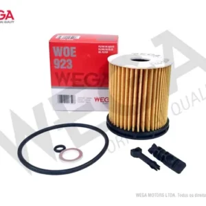 FILTRO OLEO MOTOR
