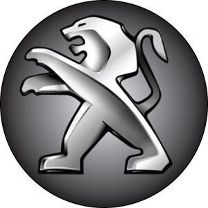 EMBLEMA CALOTA 48MM CINZA DEGRADE